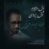 دانلود آهنگ حمیدرضا علی بیگی دل دادم و دل بردی